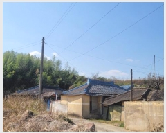  2025Ÿ��20413 �泲 �Ծȱ� ĥ���� �뼺�� 753      ����(����)���