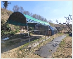  2025Ÿ��20413 �泲 �Ծȱ� ĥ���� �뼺�� 753      ����(����)���