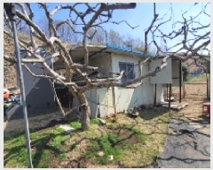  2025Ÿ��20413 �泲 �Ծȱ� ĥ���� �뼺�� 753      ����(����)���