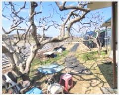  2025Ÿ��20413 �泲 �Ծȱ� ĥ���� �뼺�� 753      ����(����)���