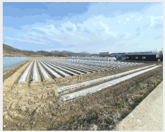  2025Ÿ��20419 �泲 �Ծȱ� ĥ�ϸ� ������ 663      ����(��1)���