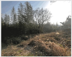  2025Ÿ20434 泲 â    620     (1)