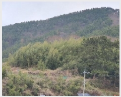  2025Ÿ20434 泲 â    620     (1)