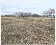  2025Ÿ��20444  �����