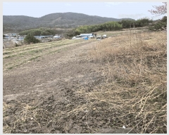  2025Ÿ��20444  �����