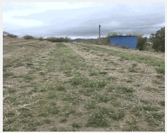  2025Ÿ��20444  �����