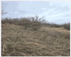  2025Ÿ��20444  �����