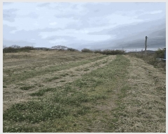  2025Ÿ��20444  �����