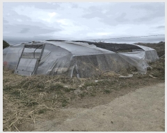  2025Ÿ��20444  �����