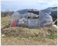  2025Ÿ��20444  �����