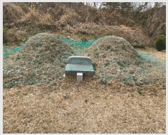  2025Ÿ��20459  �����