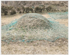  2025Ÿ��20459  �����