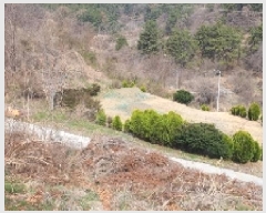  2025Ÿ��20459  �����