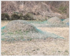  2025Ÿ��20459  �����