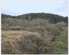  2025Ÿ��20464 �泲 �Ծȱ� �Ծȸ� ������ 513      ����(��)���