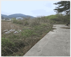  2025Ÿ��20464 �泲 �Ծȱ� �Ծȸ� ������ 513      ����(��)���