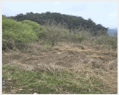  2025Ÿ��20464 �泲 �Ծȱ� �Ծȸ� ������ 513      ����(��)���