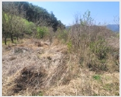  2025Ÿ��20464 �泲 �Ծȱ� �Ծȸ� ������ 513      ����(��)���