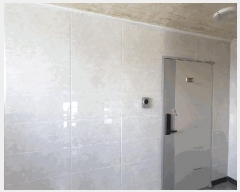  2025Ÿ��20474  �ٰ������ð��