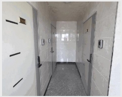  2025Ÿ��20474  �ٰ������ð��