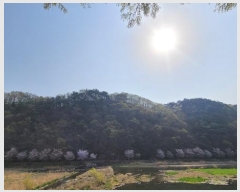  2025Ÿ��20479 �泲 �Ծȱ� ������ �˾ϸ� ��42-1      ����(�Ӿ�)���