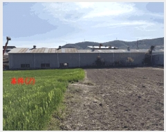  2025Ÿ��20484 �泲 â���� ���������� ���ϸ� ��� 565-1     ����(��1)���