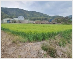  2025Ÿ��20484 �泲 â���� ���������� ���ϸ� ��� 565-1     ����(��1)���