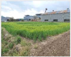  2025Ÿ��20484 �泲 â���� ���������� ���ϸ� ��� 565-1     ����(��1)���