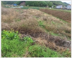  2025Ÿ��20495 �泲 �Ծȱ� ĥ���� ������ 748      ����(��)���