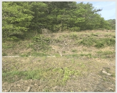  2025Ÿ��20527  ����