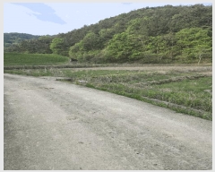  2025Ÿ��20527  ����