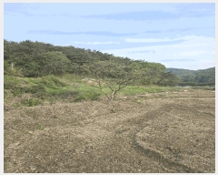  2025Ÿ��20527  ����