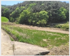  2025Ÿ��20527  ����