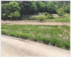  2025Ÿ��20527  ����