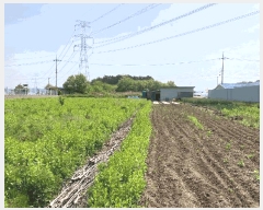  2025Ÿ��20542 �泲 �Ծȱ� ���ϸ� ���̸� 886-2      ����(��)���