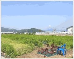  2025Ÿ��20542 �泲 �Ծȱ� ���ϸ� ���̸� 886-2      ����(��)���