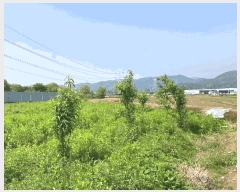  2025Ÿ��20542 �泲 �Ծȱ� ���ϸ� ���̸� 886-2      ����(��)���