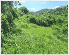  2025Ÿ��20563  �����