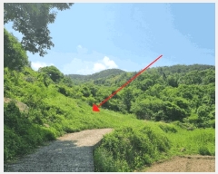  2025Ÿ��20563  �����