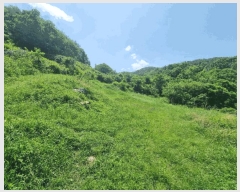  2025Ÿ��20563  �����