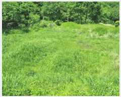  2025Ÿ��20563  �����