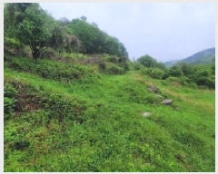  2025Ÿ��20563  �����