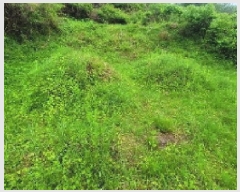  2025Ÿ��20563  �����