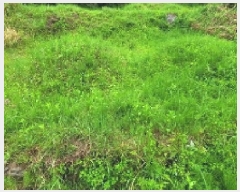  2025Ÿ��20563  �����