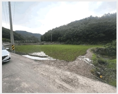  2025Ÿ��20578  ����