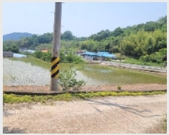  2025Ÿ��20578  ����