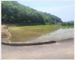  2025Ÿ��20578  ����