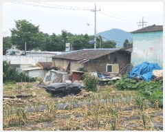  2025Ÿ��20582  �������