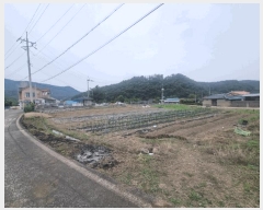  2025Ÿ��20615 �泲 �Ծȱ� �Ծȸ� �ļ��� 488-30      ����(��)���