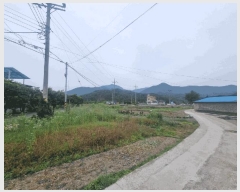  2025Ÿ��20615 �泲 �Ծȱ� �Ծȸ� �ļ��� 488-30      ����(��)���